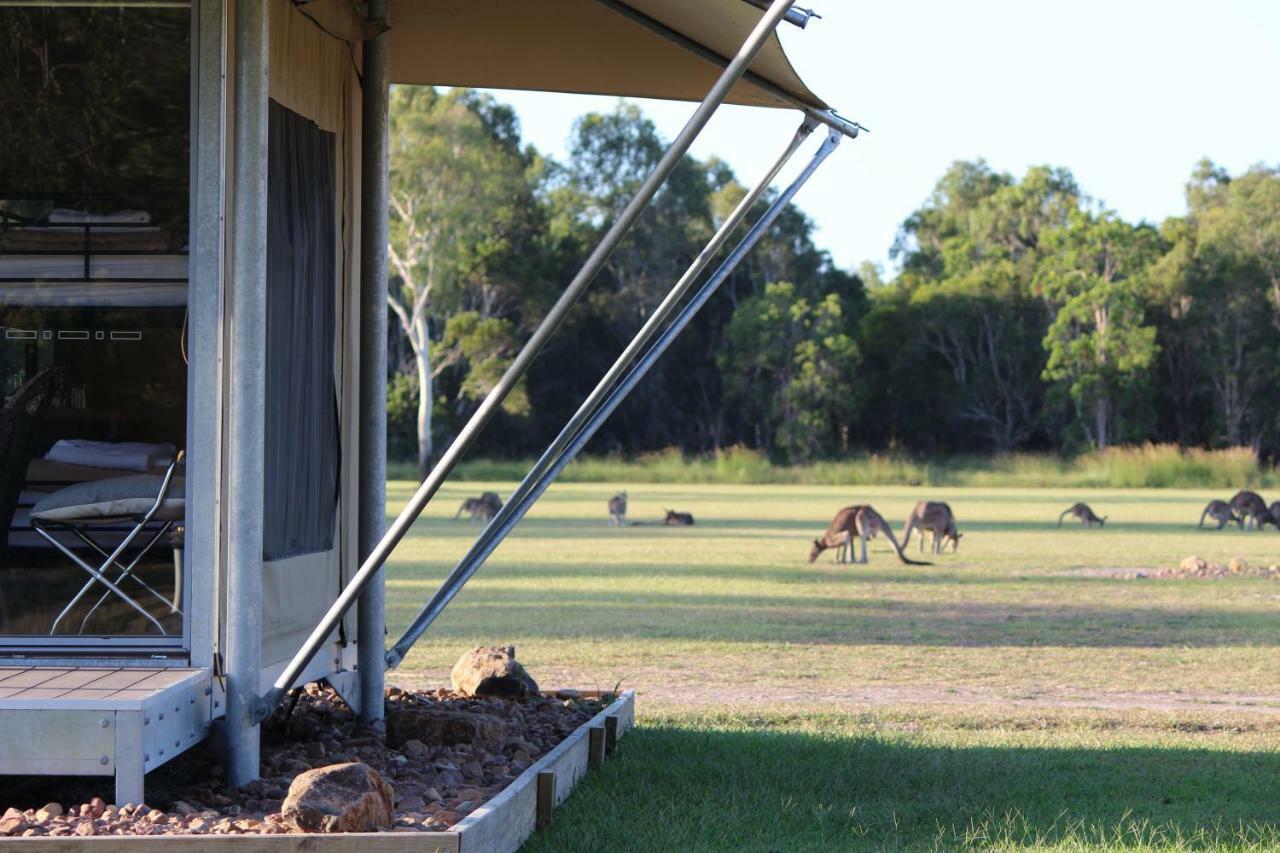 Hotel Habitat Noosa Cootharaba Exterior foto